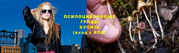 гидра Мегион