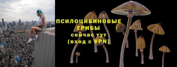 ГАЛЛЮЦИНОГЕННЫЕ ГРИБЫ Медвежьегорск