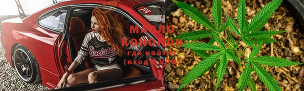 гидра Мегион