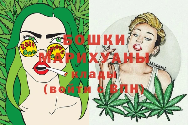 гидра Мегион