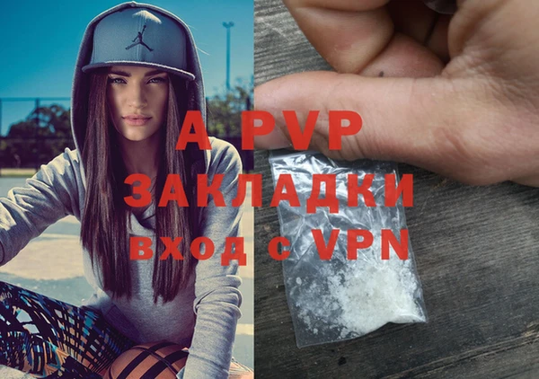 ПСИЛОЦИБИНОВЫЕ ГРИБЫ Михайловка